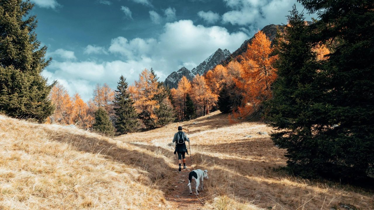 attività di gruppo con il cane