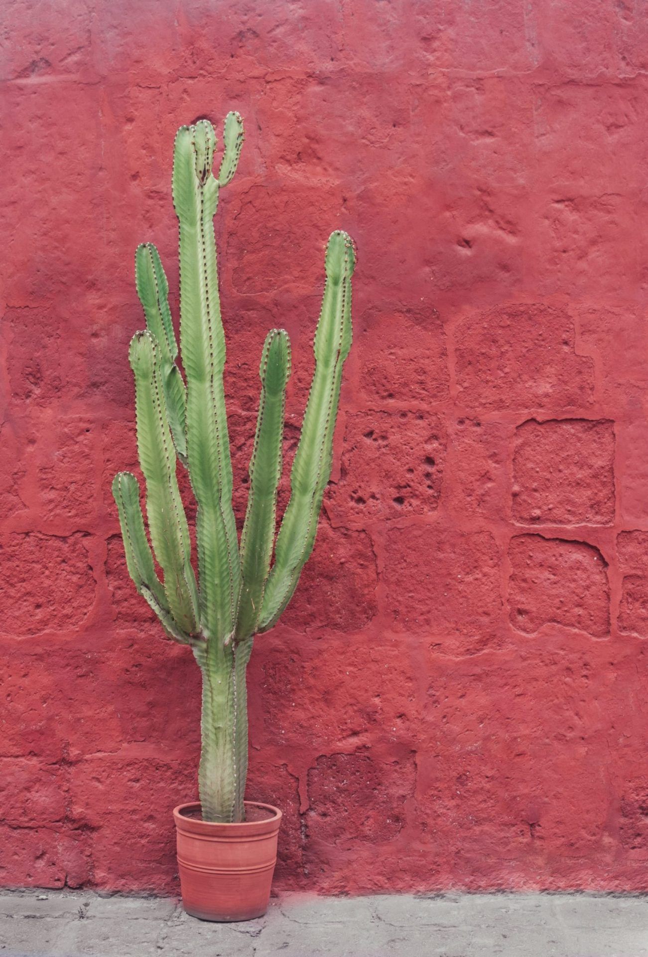 Discover the Magical Bohemian Atmosphere: A Journey Through Art, Culture, and Freedom