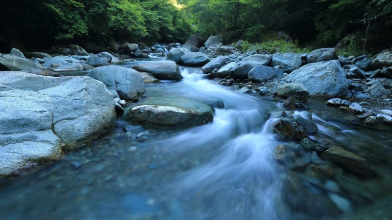 Valeggio sul Mincio: Discover the Charm of This Enchanting Village on the Riverbank