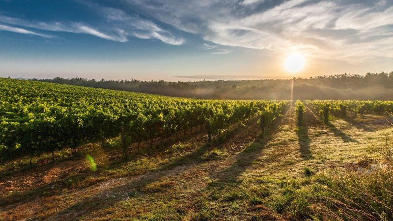 Borgo di Petroio: un angolo segreto della Toscana tra storia e bellezze naturali