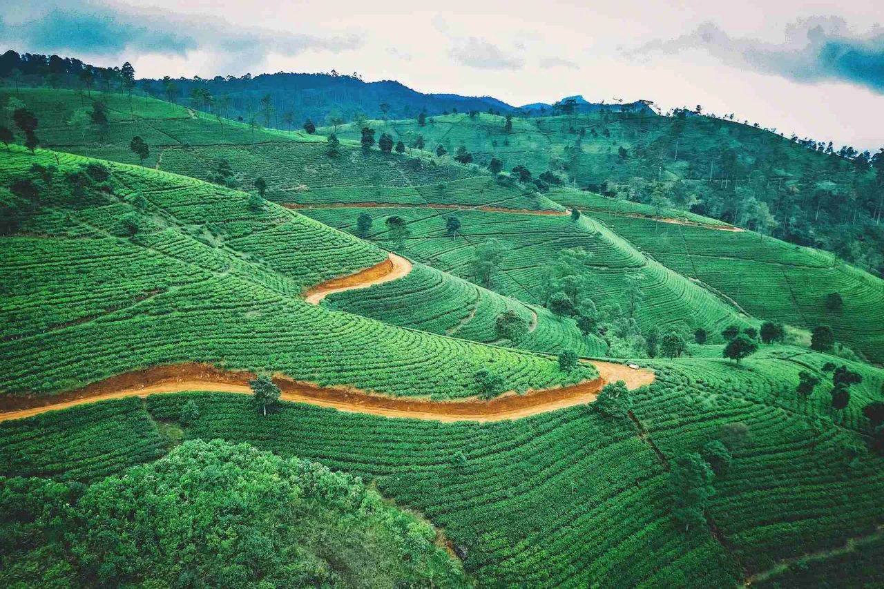 mappa ricchezza asia arrivo vacanza agenzia soggiorni inglesi cingalesi viaggio di gruppo in sri lanka