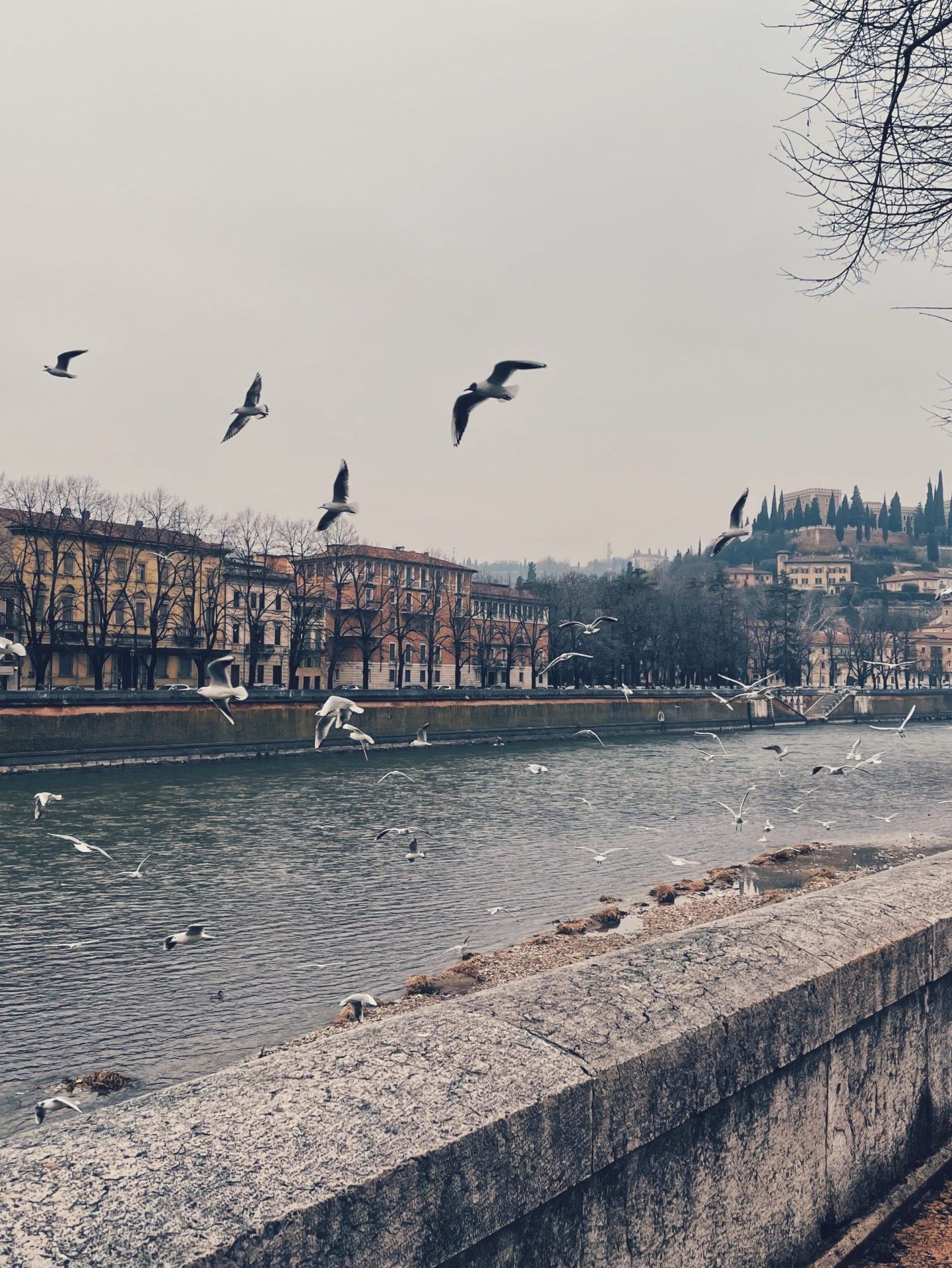 Verona Airport Parking: Discover the Best Solutions for a Stress-Free Trip!