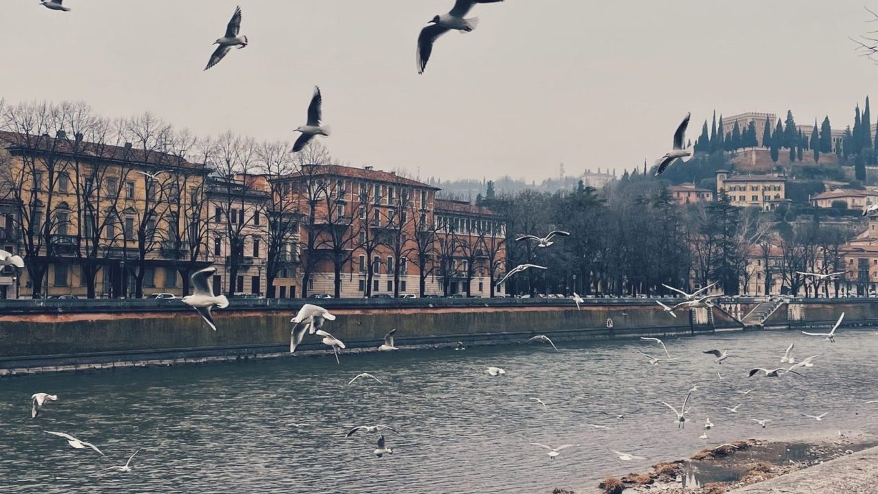 Verona Airport Parking: Discover the Best Solutions for a Stress-Free Trip!