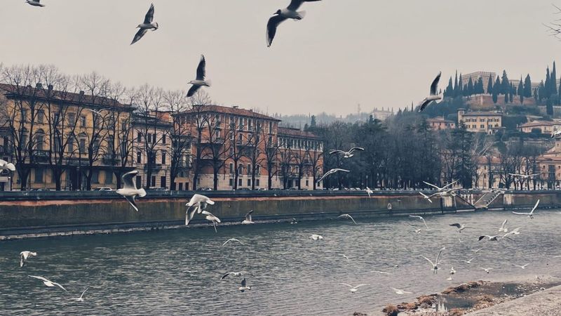Verona Airport Parking: Discover the Best Solutions for a Stress-Free Trip!