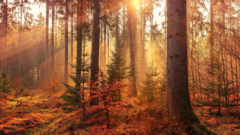 The Road of 52 Tunnels: A Walk Through History and Nature