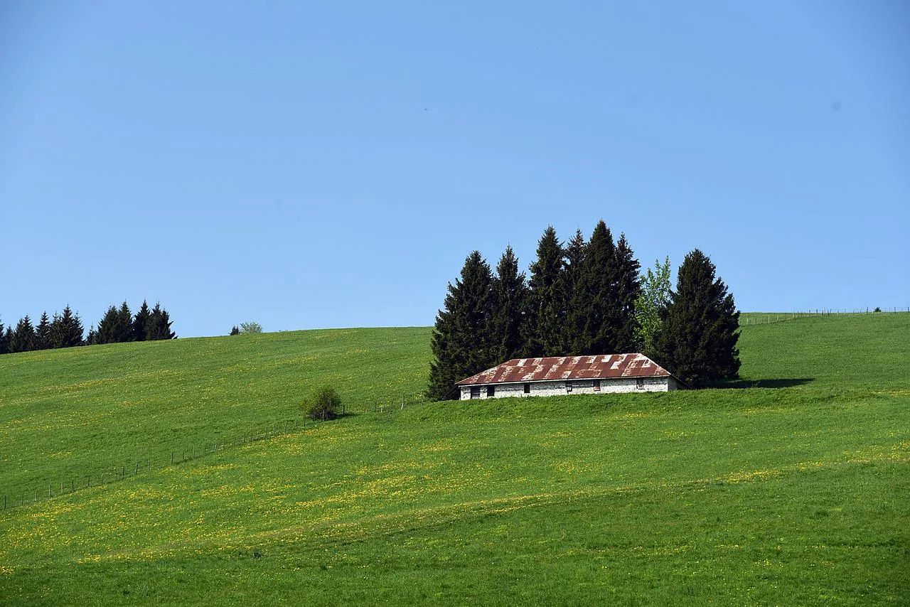 Day Trips in Veneto: The Most Beautiful Places to Visit in a Day