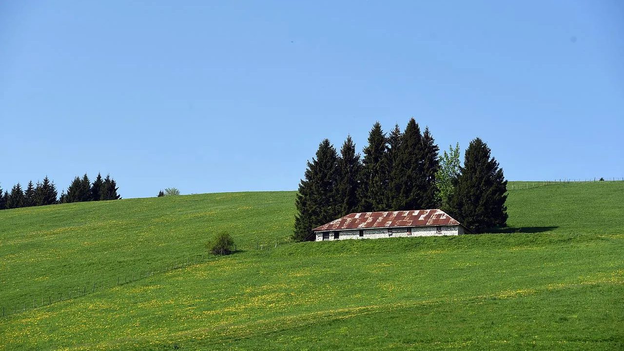 Day Trips in Veneto: The Most Beautiful Places to Visit in a Day