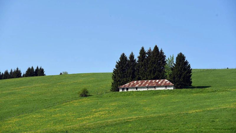 Day Trips in Veneto: The Most Beautiful Places to Visit in a Day