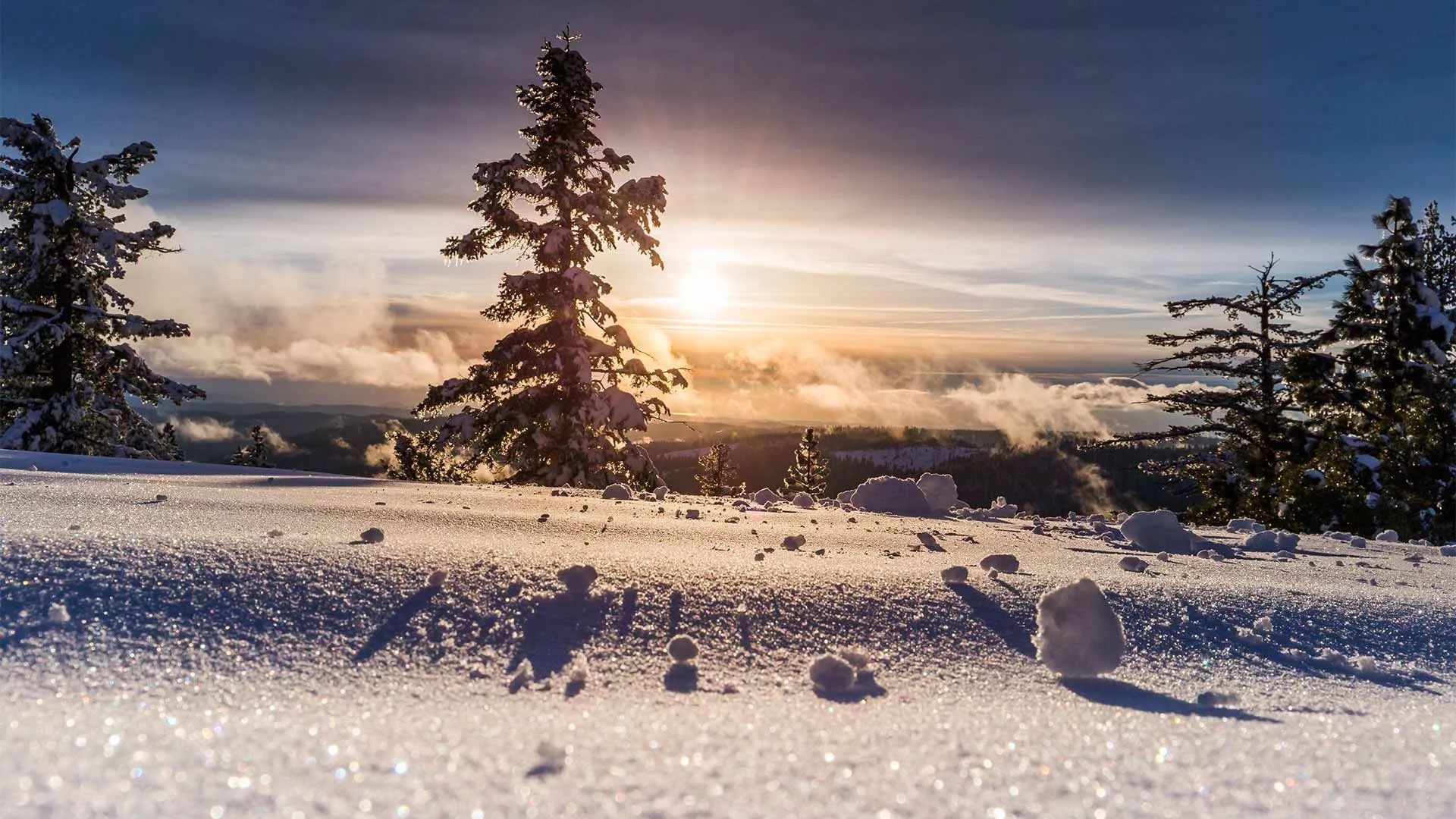 Snow Walks: A Practical Guide