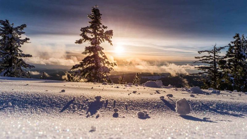 Snow Walks: A Practical Guide