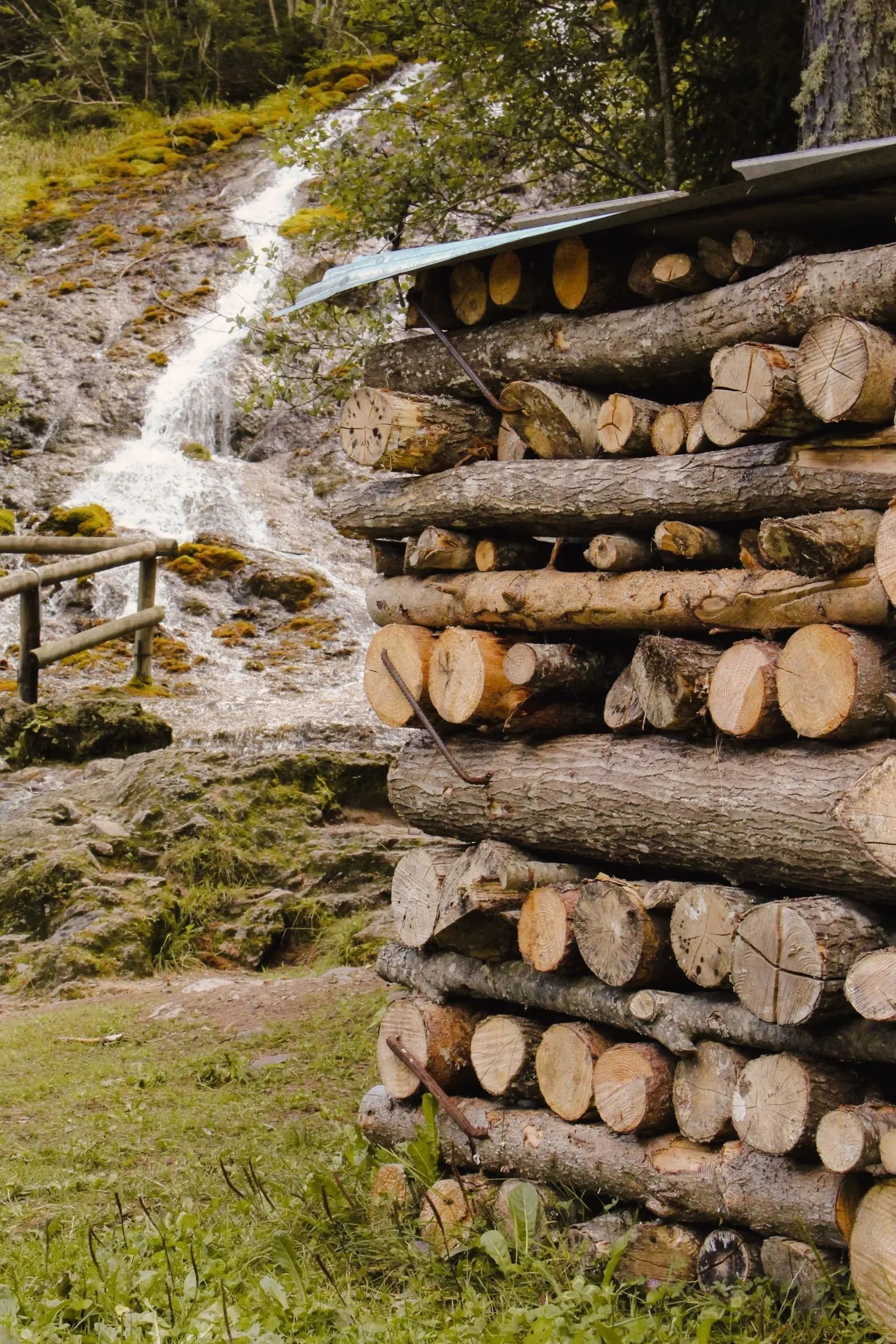 Folgaria: Discover the Dolomites Paradise with Its Natural Wonders and Exciting Activities!