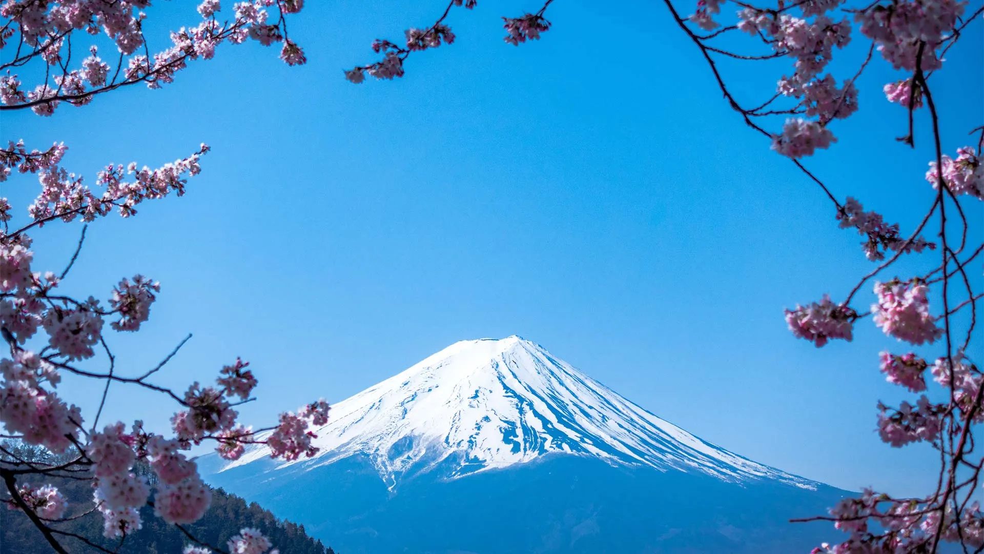 Group Travel in Japan: A Guide