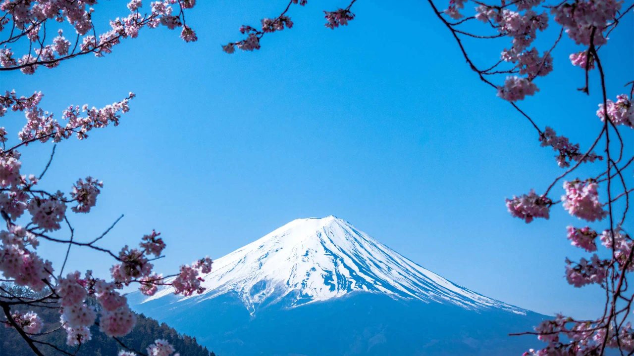 Group Travel in Japan: A Guide
