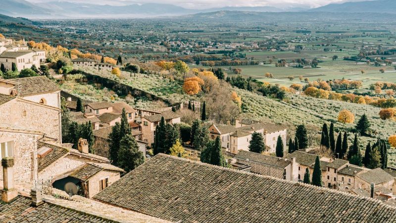 festivals fairs parties entire website email address course name wonders piazza iv novembre olive trees travels palazzo dei consoli events