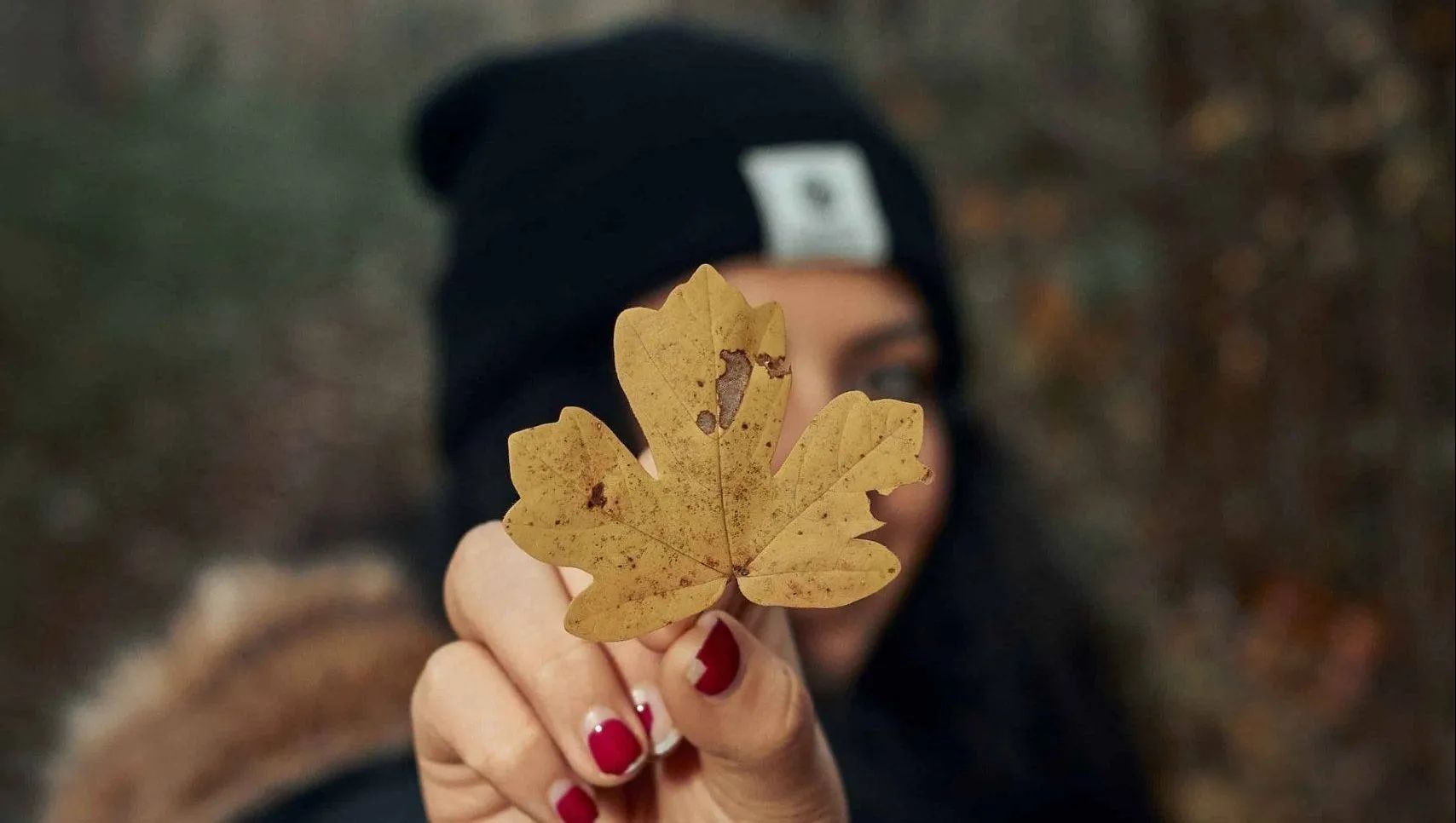 what to do in autumn