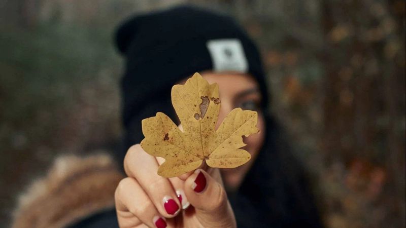 what to do in autumn