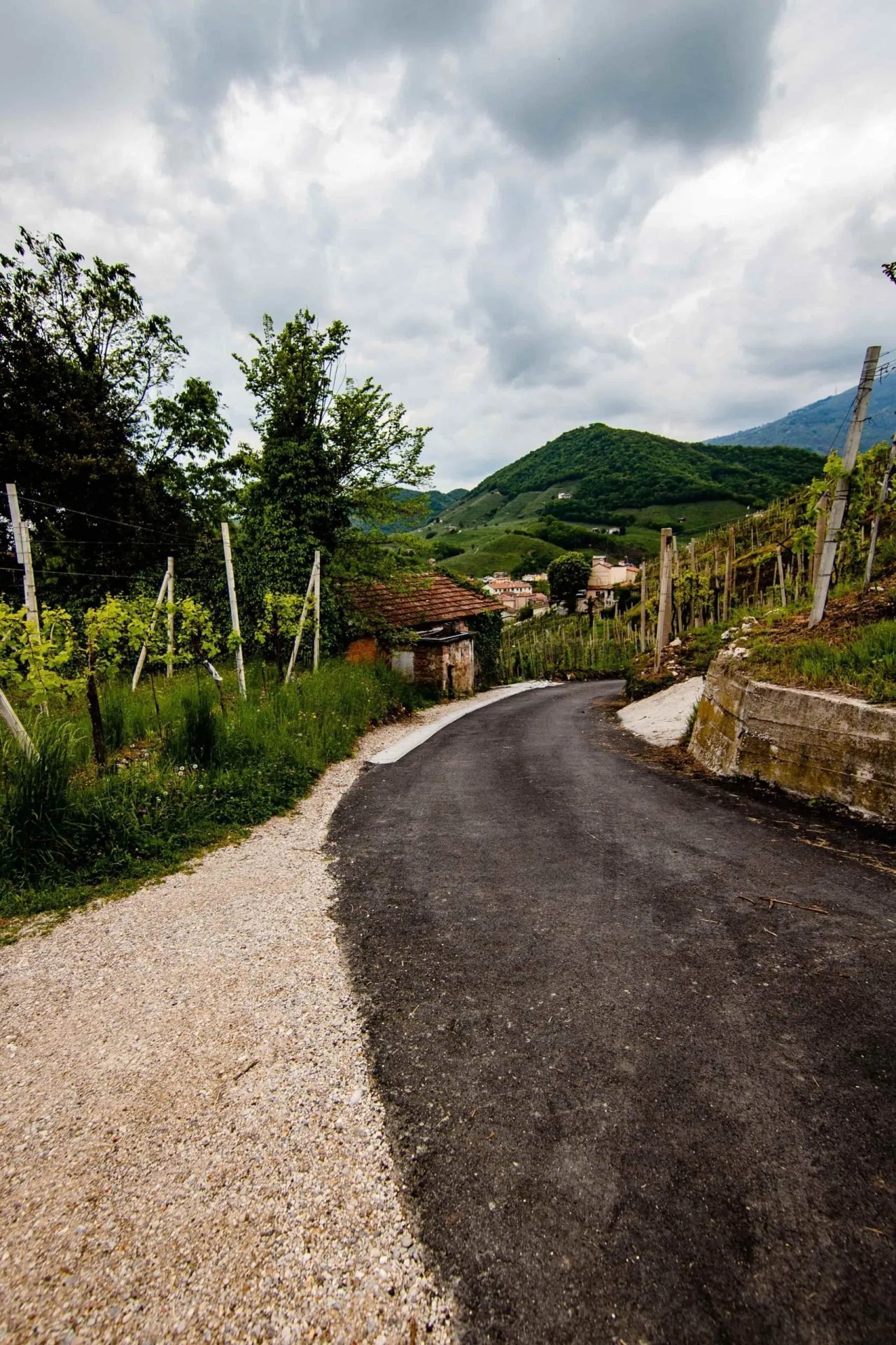 I sentieri delle colline del Prosecco rivelano tante possibilità per escursioni Veneto