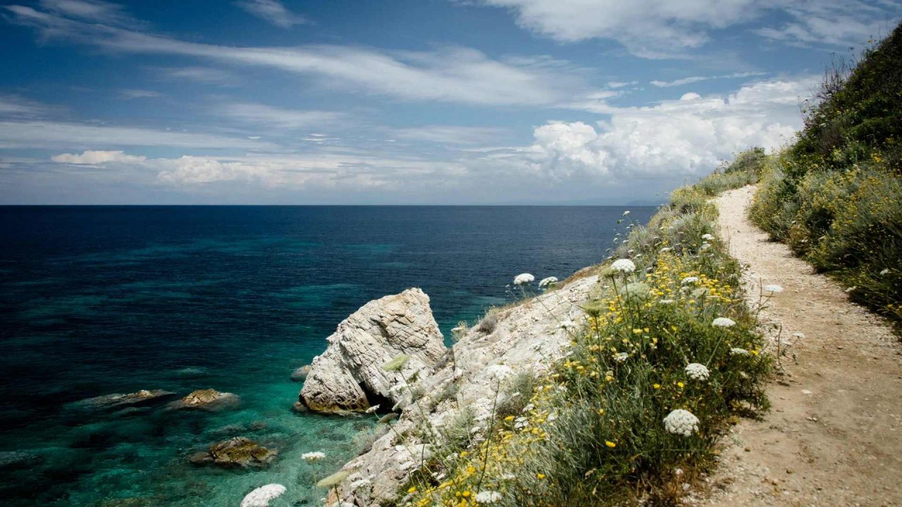 isola elba vino toscana