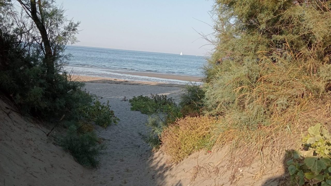 pellestrina