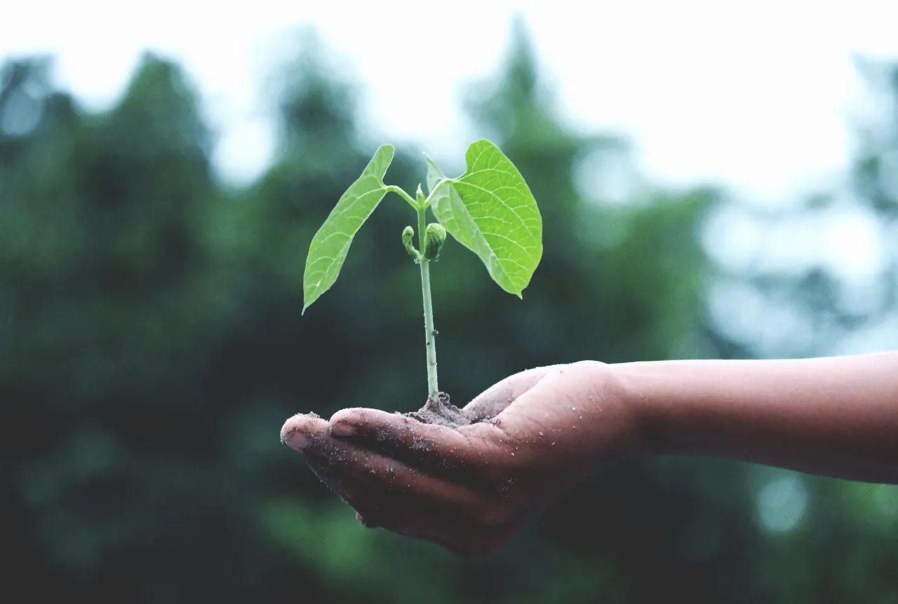 vivere-in-modo-ecologico