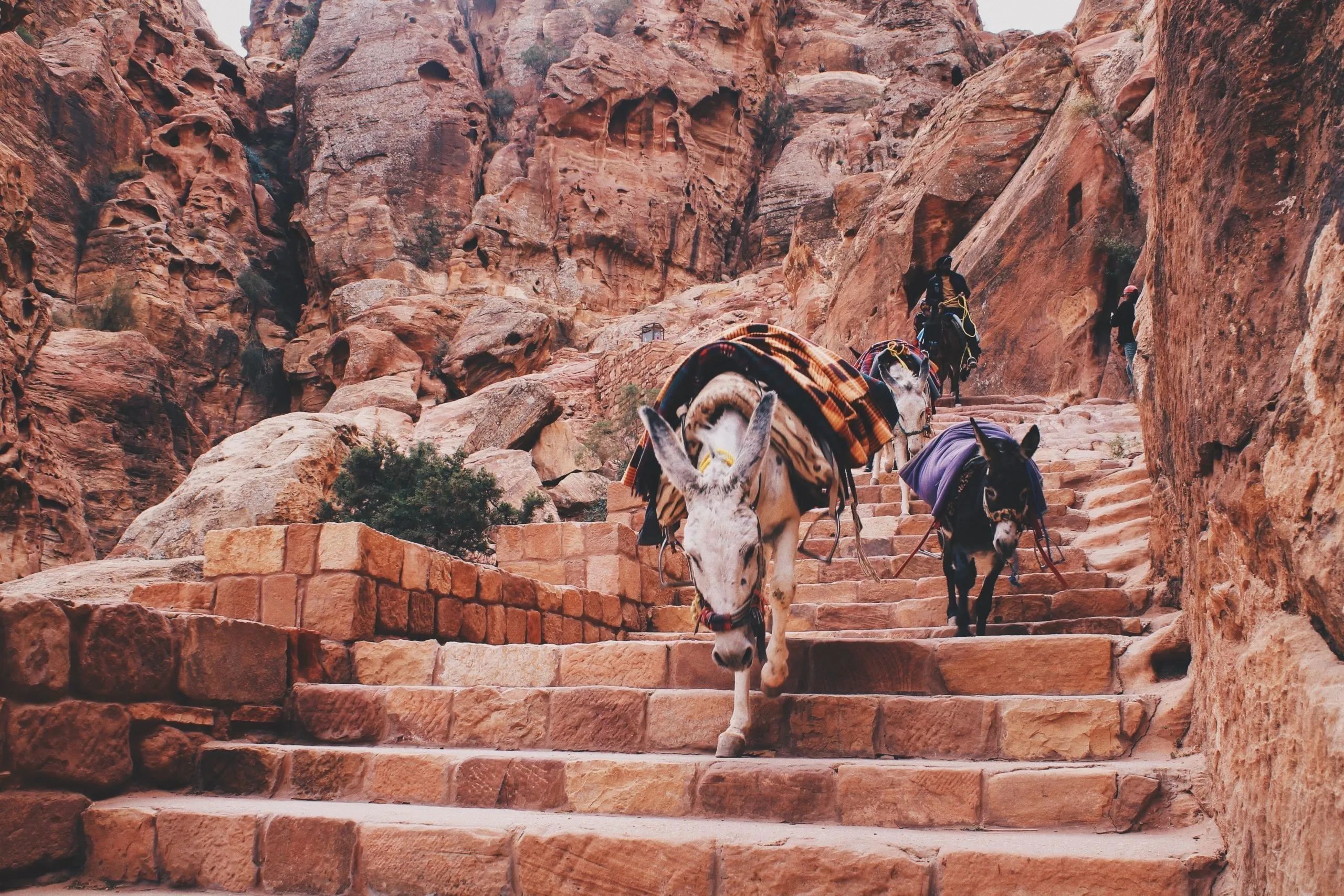 When to Go to Jordan: The Best Time to Visit