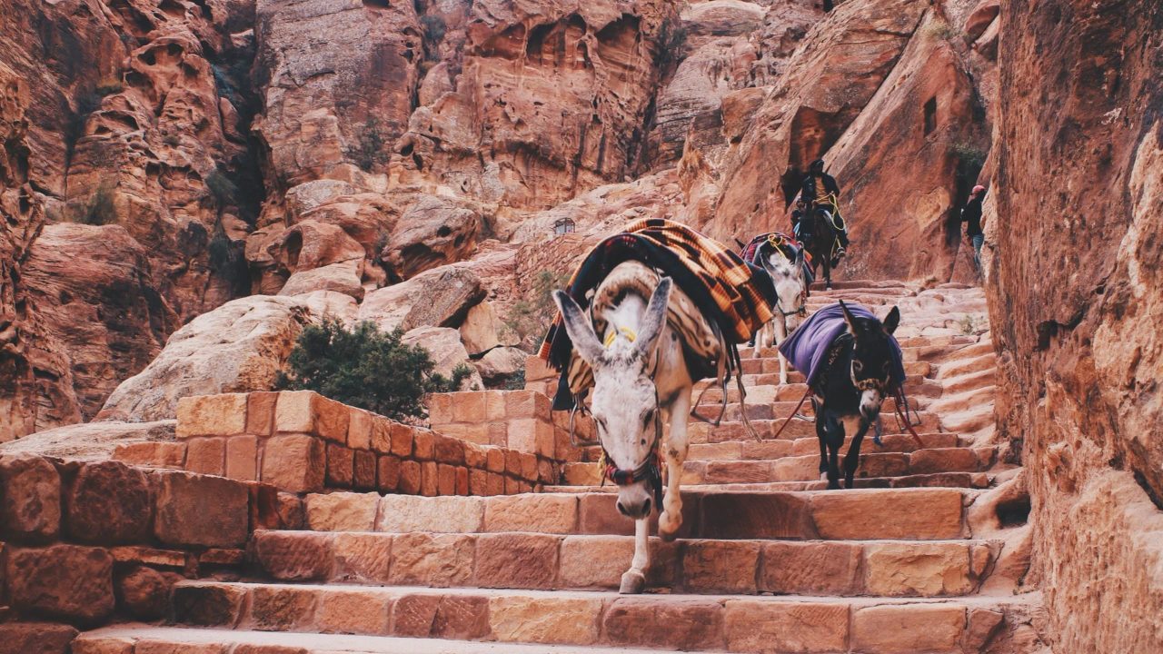 When to Go to Jordan: The Best Time to Visit