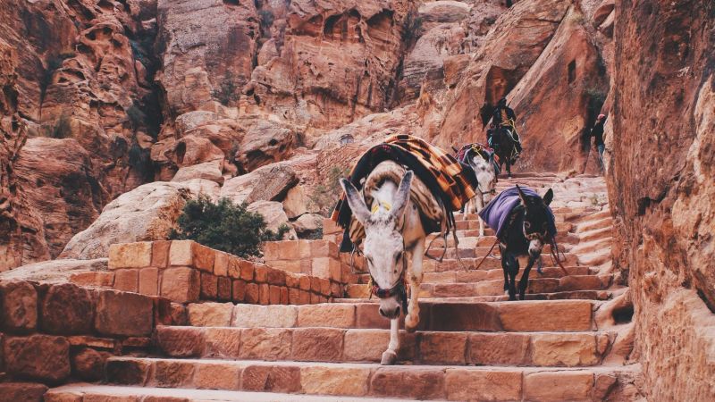 When to Go to Jordan: The Best Time to Visit