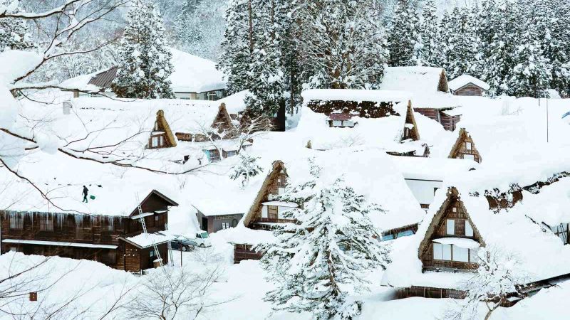 voyages de groupe organisés où aller en hiver