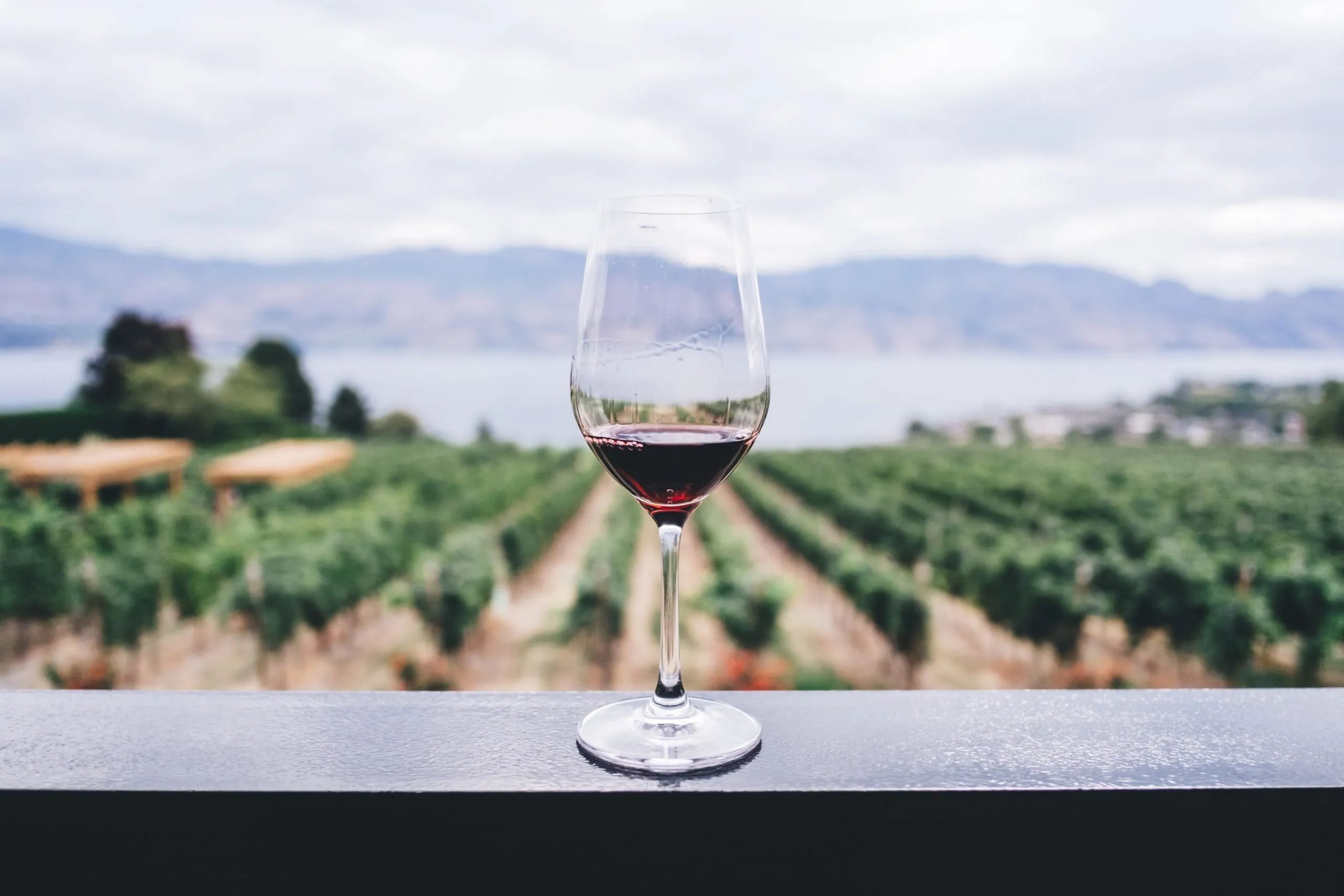 best valpolicella wineries