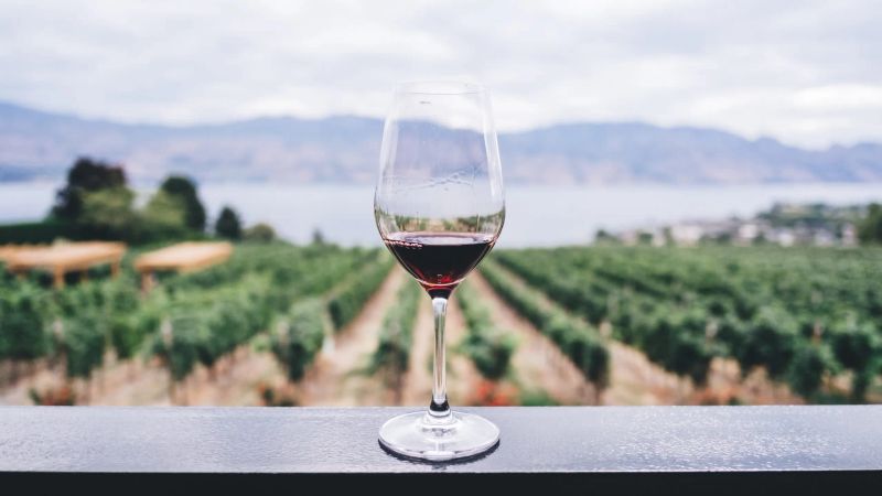 best valpolicella wineries
