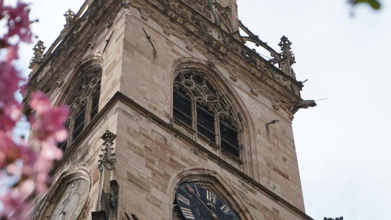 Bolzano: Discover the Best Restaurants for an Unforgettable Culinary Experience