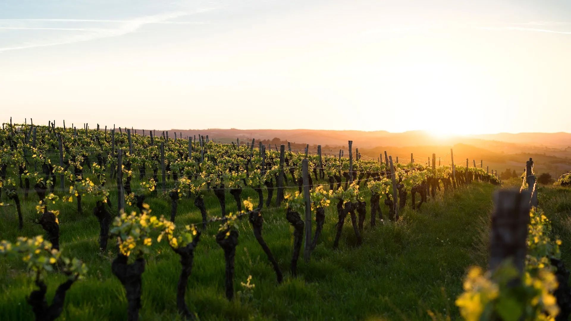 places to practice yoga in vineyards in Italy sea energy products mountains