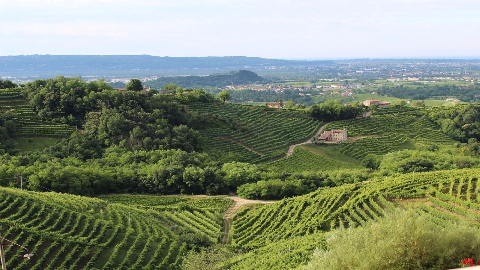 Cosa fare nel weekend in Veneto: alcune interessanti proposte
