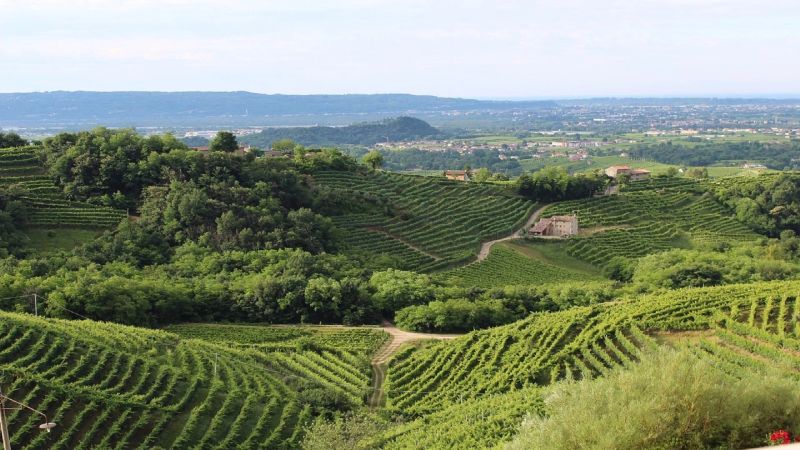 Cosa fare nel weekend in Veneto: alcune interessanti proposte