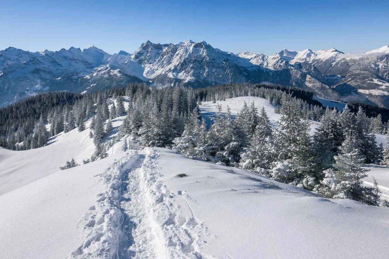 ciaspolate in lombardia ciaspolata lombardia ciaspolate val escursioni dislivello aggiornamento ponte di legno san martino cima del monte parco del valentino