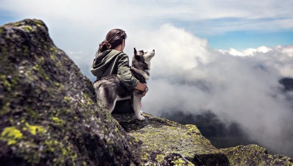 trekking-col-cane