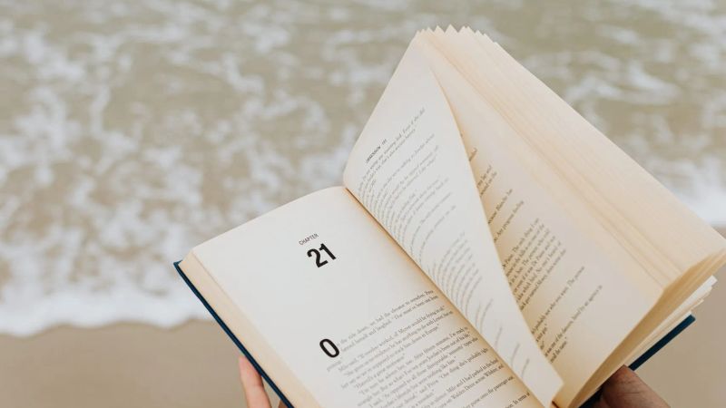 Summer Reading: Novels, Essays and More for Your Holidays
