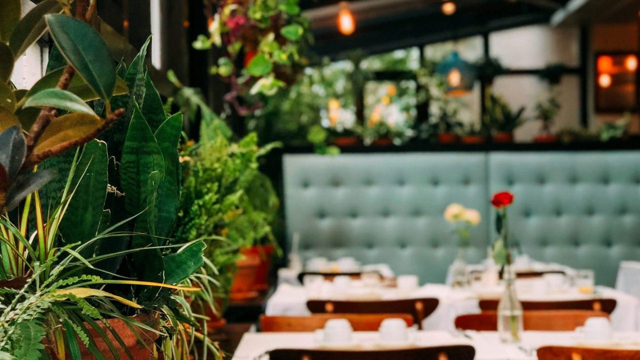 Découvrez le meilleur restaurant de Bolzano : une expérience culinaire inoubliable