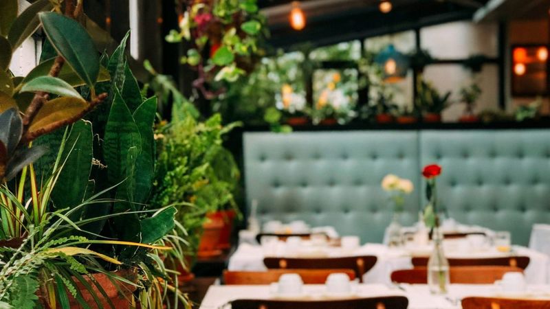 Découvrez le meilleur restaurant de Bolzano : une expérience culinaire inoubliable