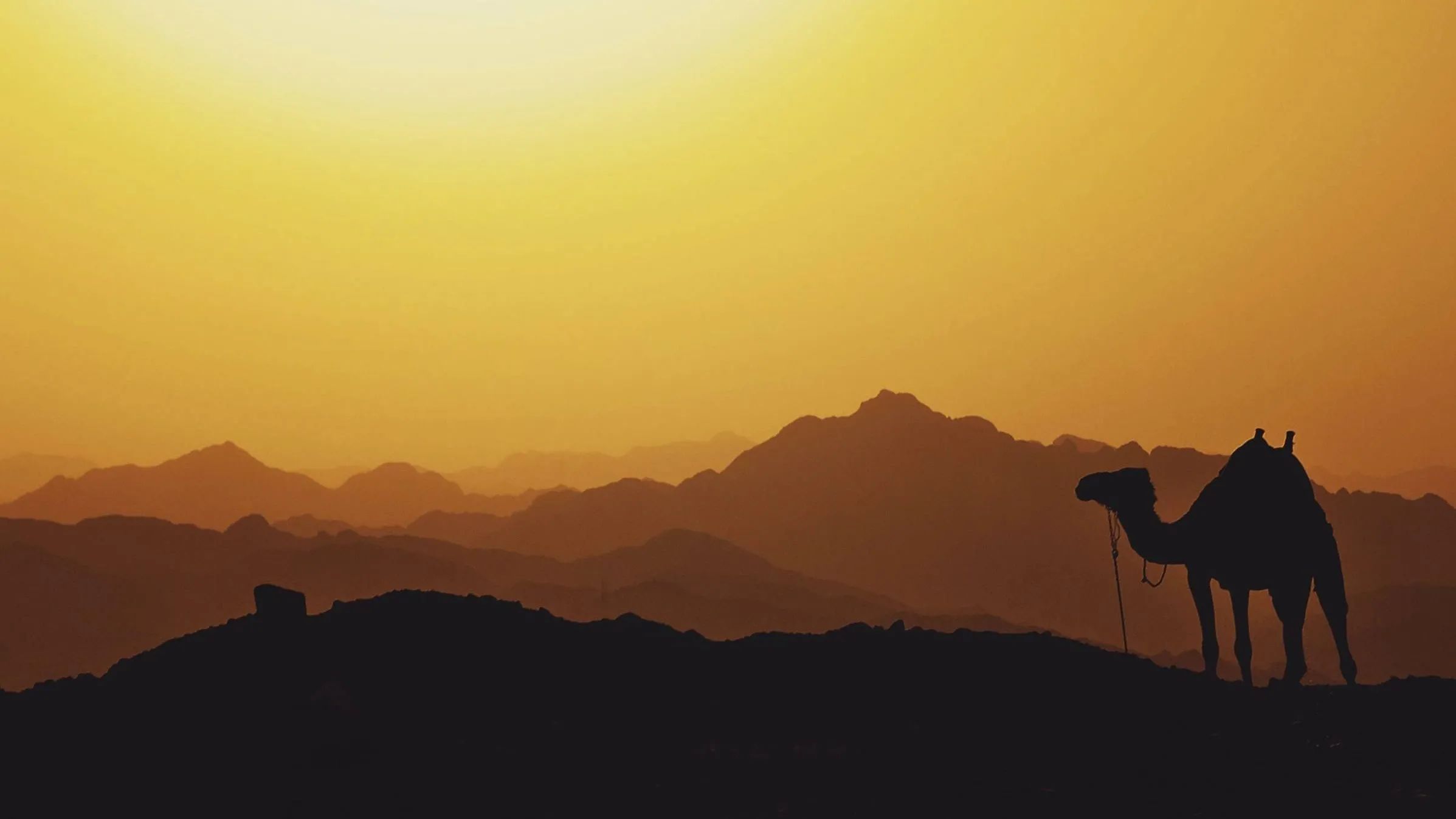Mini Foreign Travel Guide: 5 Trips You Can't Miss