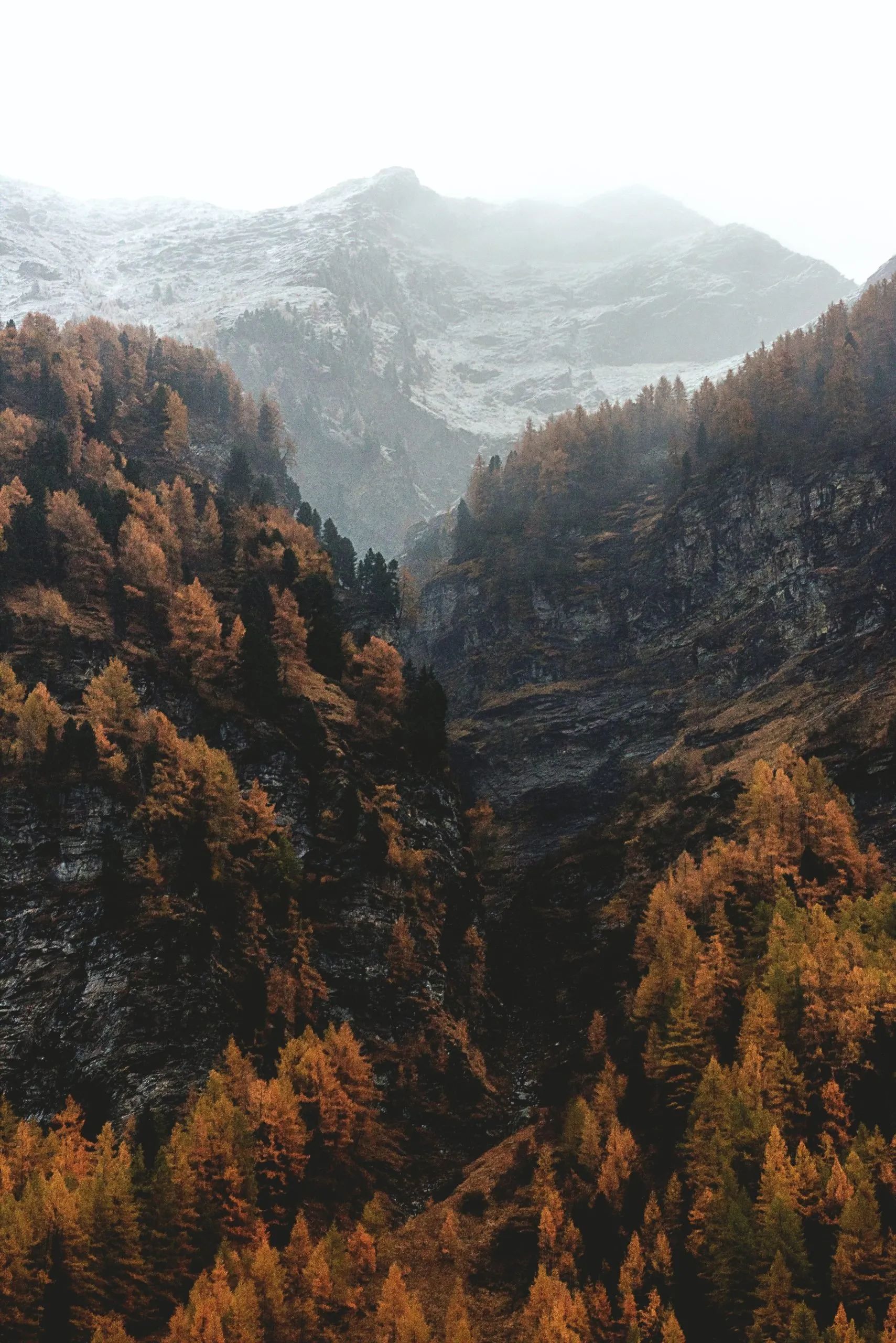 Heart Path: An Emotional Journey Through Nature and Reflection