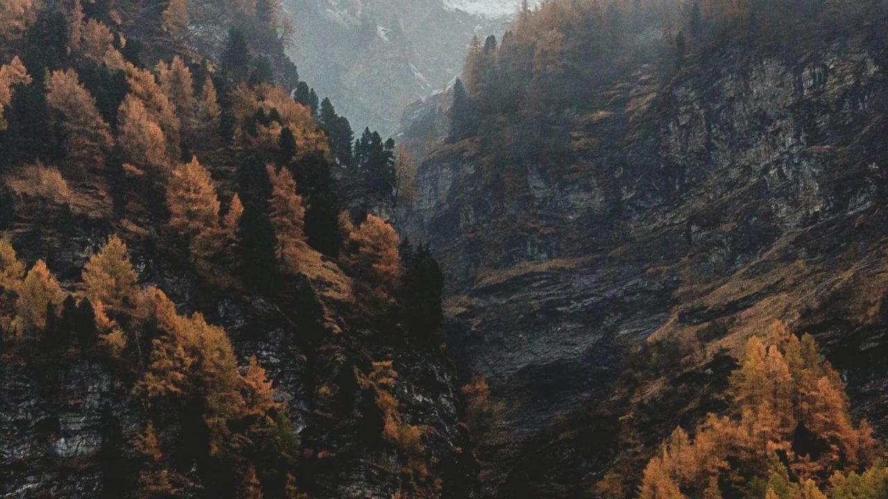 Heart Path: An Emotional Journey Through Nature and Reflection