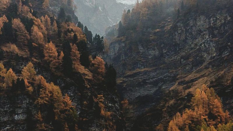 Heart Path: An Emotional Journey Through Nature and Reflection