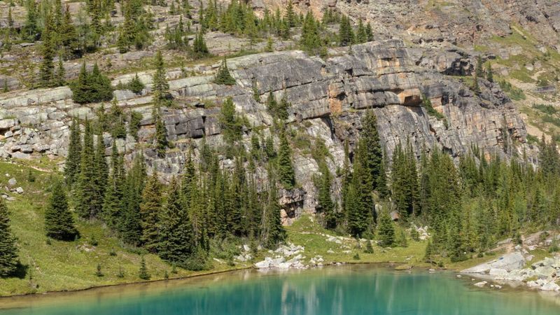 Scopri la magia del Lago di Camazzole: un paradiso nascosto tra natura e relax