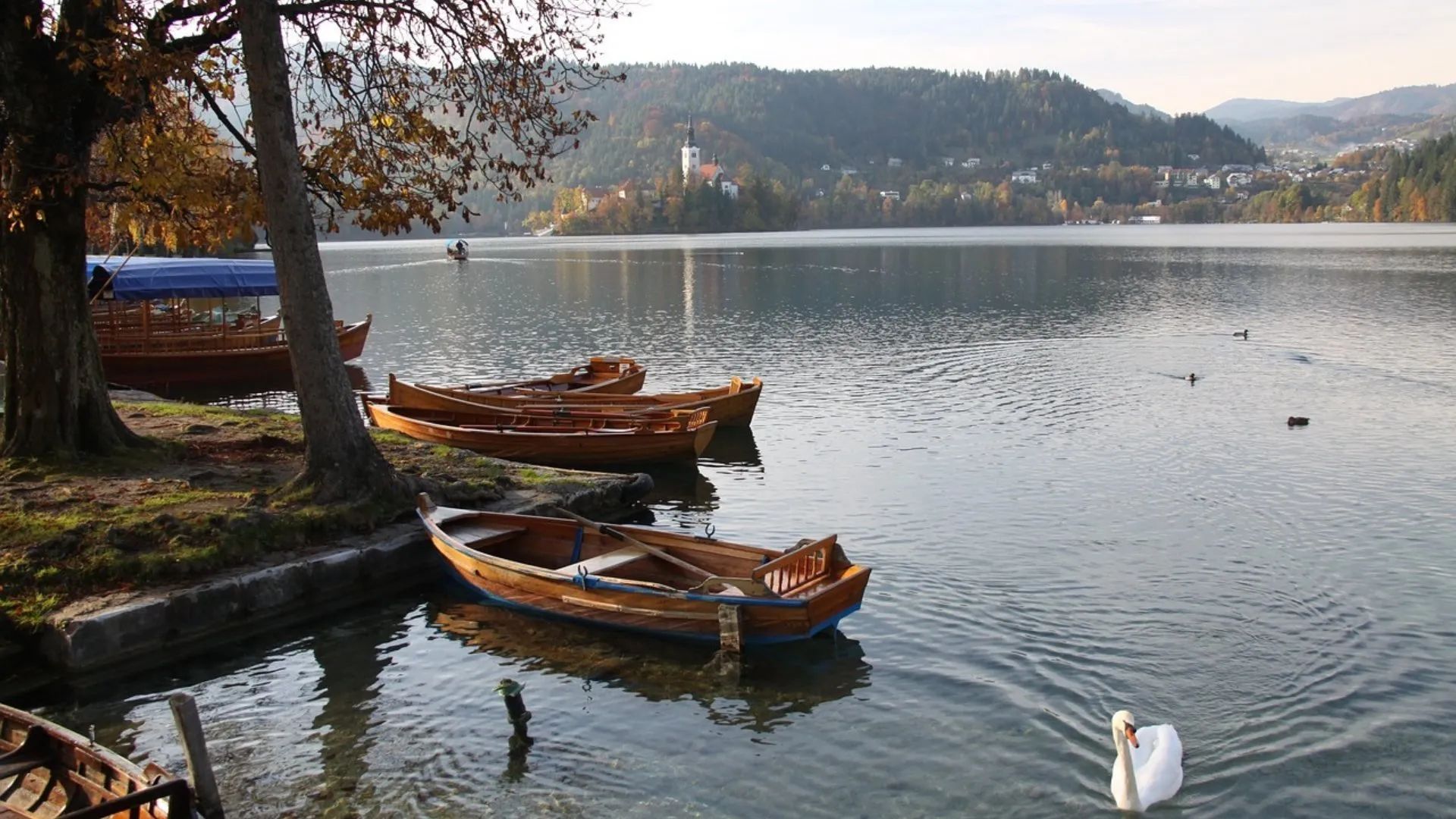 how long is the Lake Bled circuit