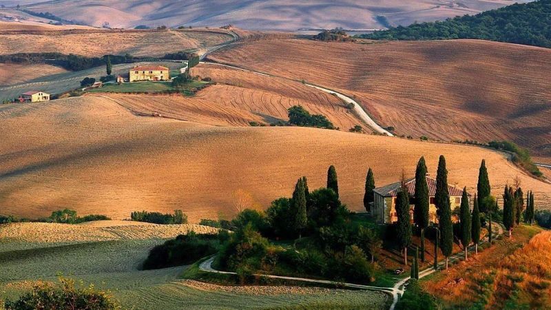 Group Walking Tours