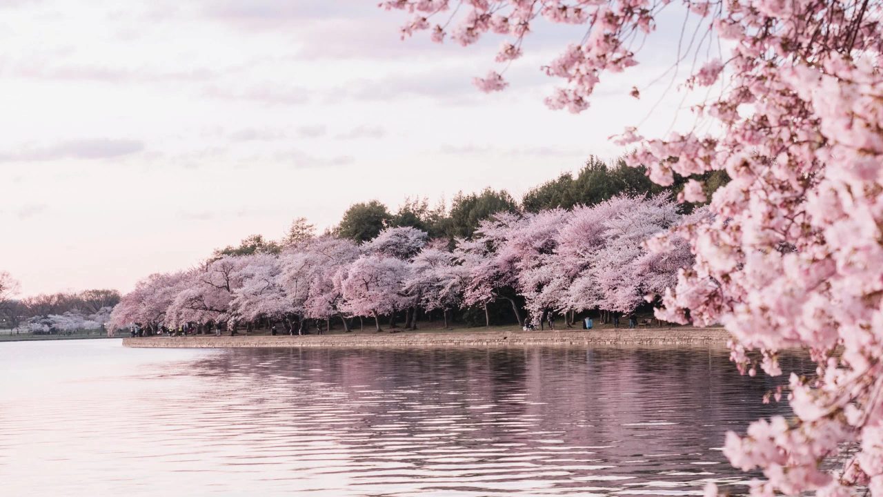 Spring Equinox