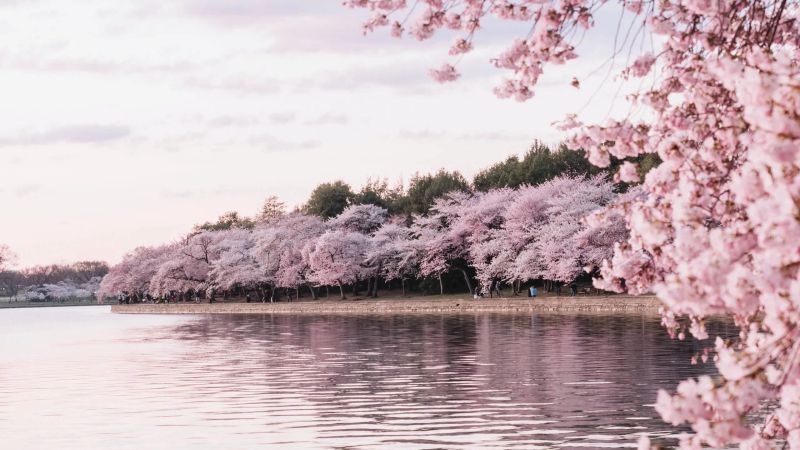 Spring Equinox