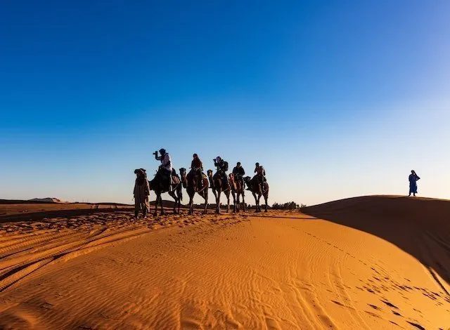 safari con cammelli, marsa alam