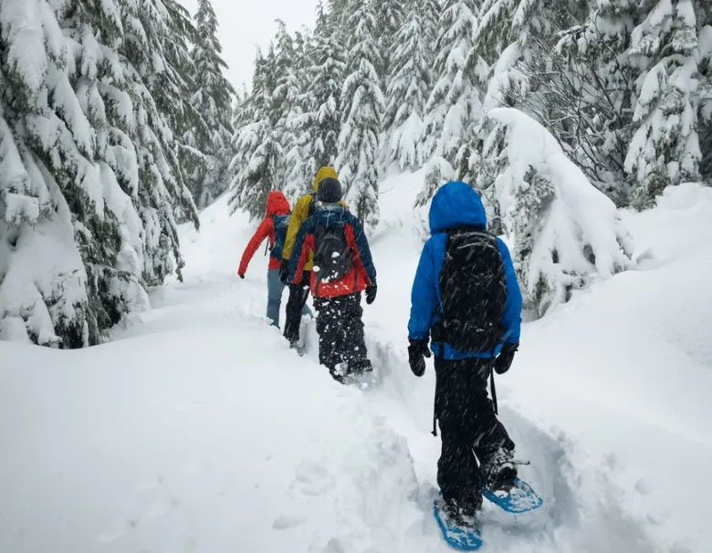 Where to Snowshoe in Italy: A Guide to Mountain Hikes